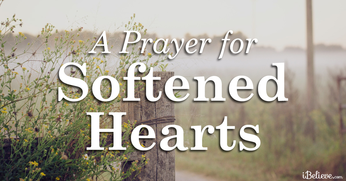 a prayer to soften hearts for the vulnerable